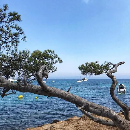Les Platanes Apartment Frejus
